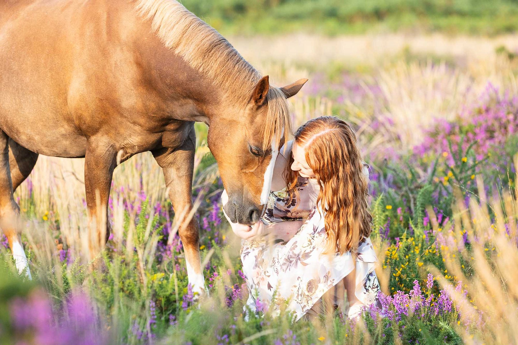 Equestrian photoshoot in Devon by Julia Powney