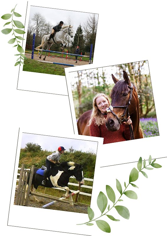 Julia-powney-photography-exeter-horses