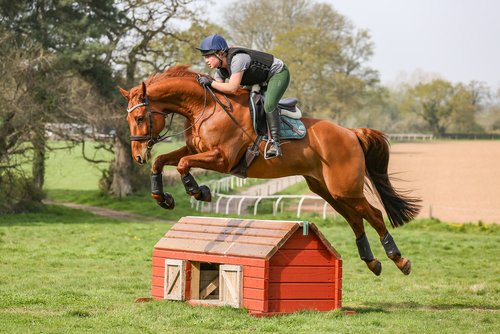 Julia Powney Photography photo of jumping horse at Pontispool equestrian camp