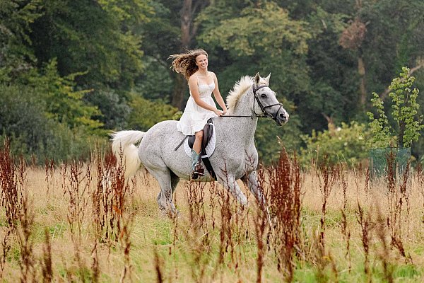 horse photoshoot in Cornwall by Julia Powney Photography