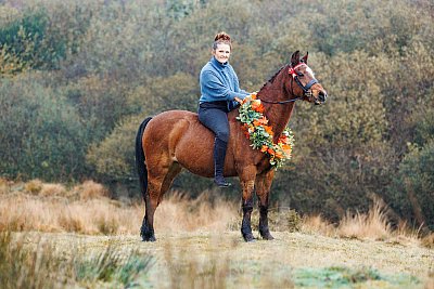 horse portrait taken in Launceston by Julia Powney Photography